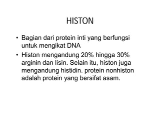 HISTON
• Bagian dari protein inti yang berfungsi
  untuk mengikat DNA
• Histon mengandung 20% hingga 30%
  arginin dan lisin. Selain itu, histon juga
  mengandung histidin. protein nonhiston
  adalah protein yang bersifat asam.
 