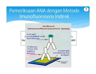 7
Pemeriksaan ANA dengan Metode
   Imunofluoresens Indirek



       Mendeteksi berbagai macam antigen
     nukleus, termasuk DNA, RNA dan protein
 