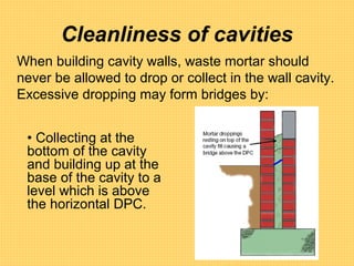 Tutor preventing dampness in cavity walls .ppt 3 | PPT