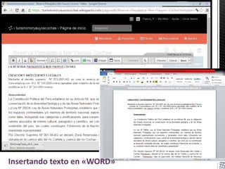 Insertando texto en «WORD»