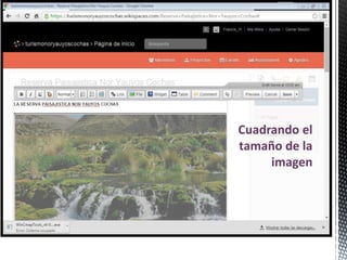 Cuadrando el
tamaño de la
imagen