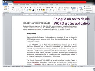 Coloque un texto desde
WORD u otro aplicativo