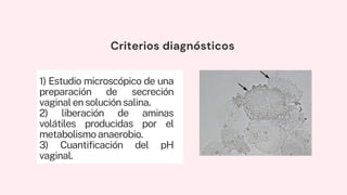Criterios diagnósticos
1) Estudio microscópico de una
preparación de secreción
vaginalensoluciónsalina.
2) liberación de aminas
volátiles producidas por el
metabolismoanaerobio.
3) Cuantificación del pH
vaginal.
 