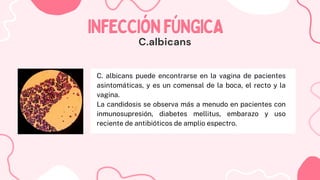 C. albicans puede encontrarse en la vagina de pacientes
asintomáticas, y es un comensal de la boca, el recto y la
vagina.
La candidosis se observa más a menudo en pacientes con
inmunosupresión, diabetes mellitus, embarazo y uso
reciente de antibióticos de amplio espectro.
INFECCIÓNFÚNGICA
INFECCIÓNFÚNGICA
C.albicans
 