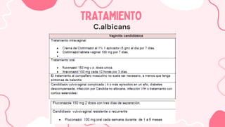 TRATAMIENTO
TRATAMIENTO
C.albicans
 