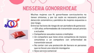 Muchas mujeres con N. gonorrhoeae cervicouterina no
tienen síntomas, y por tal razón es necesario practicar
detección sistemática y periódica de mujeres expuestas a
ese riesgo.
Entre los factores de riesgo de ser portadora de gonococo
≤24 años; enfermedades de transmisión sexual previas
o actuales
Compañeros sexuales nuevos o múltiples
Un compañero que tiene otros compañeros de manera
simultánea o un compañero con enfermedad de
transmisión sexual
No contar con una protección de barrera en personas
que no llevan una relación monógama
Sexo servicio comercial
NEISSERIAGONORRHOEAE
NEISSERIAGONORRHOEAE
 