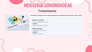 NEISSERIAGONORRHOEAE
NEISSERIAGONORRHOEAE
Tratamiento
 