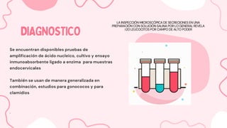 DIAGNOSTICO
DIAGNOSTICO
Se encuentran disponibles pruebas de
amplificación de ácido nucleico, cultivo y ensayo
inmunoabsorbente ligado a enzima para muestras
endocervicales
También se usan de manera generalizada en
combinación, estudios para gonococos y para
clamidios
.
LA INSPECCIÓN MICROSCÓPICA DE SECRECIONES EN UNA
PREPARACIÓN CON SOLUCIÓN SALINA POR LO GENERAL REVELA
≥20 LEUCOCITOS POR CAMPO DE ALTO PODER
 