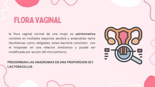FLORAVAGINAL
FLORAVAGINAL
la flora vaginal normal de una mujer es asintomatica
consiste en multiples especies aerobia y anaerobias tanto
facultativas como obligadas, estas bacteria coexisten con
el hospedar en una relacion simbiotica y puede ser
modificada por accion del microentorno
PREDOMINAN LAS ANAEROBIAS EN UNA PROPORCION 10:1
LACTOBACILLUS
 