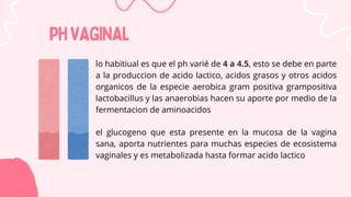 PHVAGINAL
PHVAGINAL
lo habitiual es que el ph varié de 4 a 4.5, esto se debe en parte
a la produccion de acido lactico, acidos grasos y otros acidos
organicos de la especie aerobica gram positiva grampositiva
lactobacillus y las anaerobias hacen su aporte por medio de la
fermentacion de aminoacidos
el glucogeno que esta presente en la mucosa de la vagina
sana, aporta nutrientes para muchas especies de ecosistema
vaginales y es metabolizada hasta formar acido lactico
 
