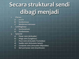Secara struktural sendi
    dibagi menjadi
1.    Fibrous
     a)   Suture
     b)   Syndesmoses
     c)   Membrana Interossea
2.    Cartillaginous
     a)   Synchondrosis
     b)   Syndesmoses
3.    Synovial
     a)   Planar Joint (Arthrodia)
     b)   Hinge Joint (Gynglimus)
     c)   Pivot Joint (Articulatio Trochoidea)
     d)   Saddle Joint (Articulatio Selaris)
     e)   Condyloid Joint (Articulatio Ellipsoidea)
     f)   Ball and Socket Joint (Enarthrosis)
 
