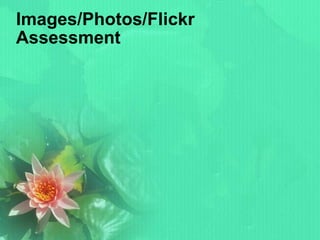 Images/Photos/Flickr Assessment 