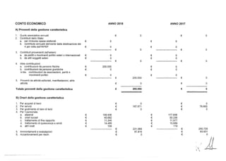 CONTO ECONOMICO ANNO 2018 ANNO 2017
A) Proventi della gestione caratteristica
1. Quote associative annuali € O € O
2. Contributi dello Stato:
a. per rimborso spese elettorali € O € O
b. contributo annuale derivante dalla destinazione del
4 per mille dell'lRPEF € O € O
---------------- € O ------------ € O
3. Contributi provenienti dall'estero:
a. da partiti o movimenti politici esteri o internazionali € O € O
b. da altri soggetti esteri € O € O
€ O ---------- € O
4. Altre contribuzioni:
a. contribuzioni da persone fisiche € 200.000 € O
b. contribuzioni da persone giuridiche € O € O
b-bis. contribuzioni da associazioni, partiti e
movimenti politici € O € O
------------- € 200.000 -------------- € O
5. Proventi da attività editoriali, manifestazioni, altre
attività € O € O
-
Totale proventi della gestione caratteristica € 200.000 € O
-------------- ---------------------------- --------------
B) Oneri della gestione caratteristica
1. Per acquisti di beni € O € O
2. Per servizi € 187.671 € 76.665
3. Per godimento di beni di terzi € O € O
4. Per il personale:
a. stipendi € 159.436 € 177.606
b. oneri sociali € 45.692 € 50.338
c. trattamento di fine rapporto € 11.345 € 11.977
d. trattamento di quiescenza e simili L::
14.488 L::
15.689~ ~
e. altri costi € 108 € 119
----------- € 231.069 -------- € 255.729
5. Ammortamenti e svalutazioni € 57.814 € 83.931
6. Accantonamenti per rischi € O € O
/
)J-- ::z:;
 