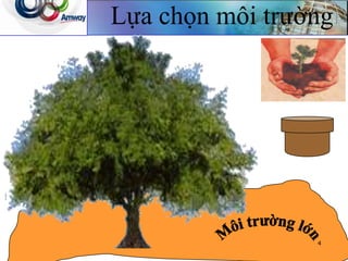 4
Lựa chọn môi trường
 