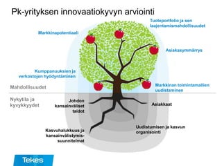 Johdon
kansainväliset
taidot
Kasvuhalukkuus ja
kansainvälistymis-
suunnitelmat
Uudistumisen ja kasvun
organisointi
Asiakkaat
Mahdollisuudet
Nykytila ja
kyvykkyydet
Pk-yrityksen innovaatiokyvyn arviointi
Tuoteportfolio ja sen
laajentamismahdollisuudet
Markkinapotentiaali
Kumppanuuksien ja
verkostojen hyödyntäminen
Markkinan toimintamallien
uudistaminen
Asiakasymmärrys
 