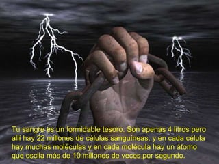 Tu sangre es un formidable tesoro. Son apenas 4 litros pero allí hay 22 millones de células sanguíneas, y en cada célula hay muchas moléculas y en cada molécula hay un átomo que oscila más de 10 millones de veces por segundo. 