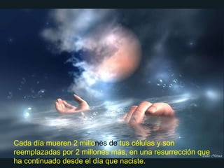 Cada día mueren 2 millo nes   de  tus células y son reemplazadas por 2 millones más, en una resurrección que ha continuado desde el día que naciste. 