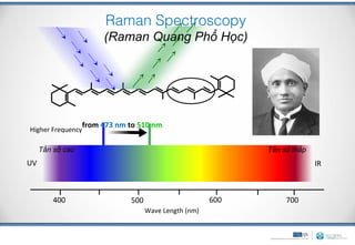 Raman Spectroscopy
                        (Raman Quang Phổ Học)




                                            Tần s
                   from 473 nm to 510 nm
Higher Frequency                                              Lower Frequency

     Tần số cao                                                 Tần số thấp
UV                                                                              IR



         400                   500                      600          700
                                     Wave Length (nm)
 