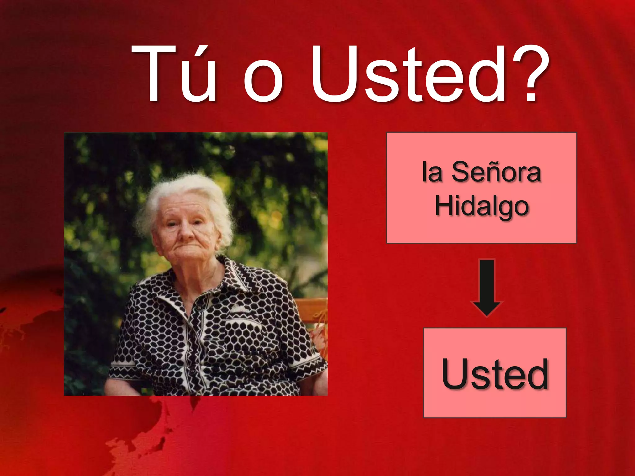 Tú o Usted?
la Señora
Hidalgo

Usted

 