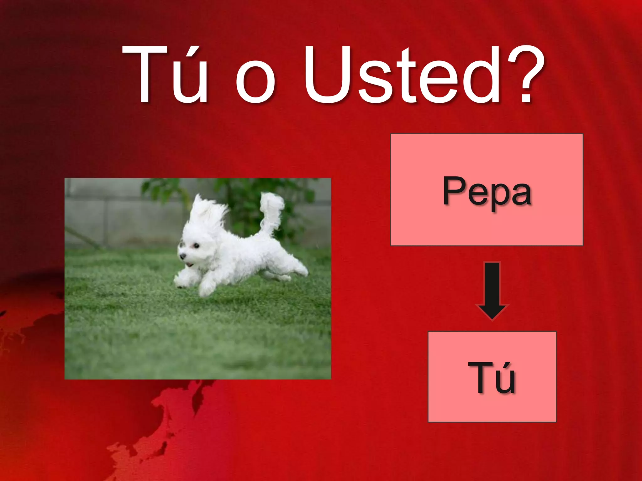 Tú o Usted?
Pepa

Tú

 