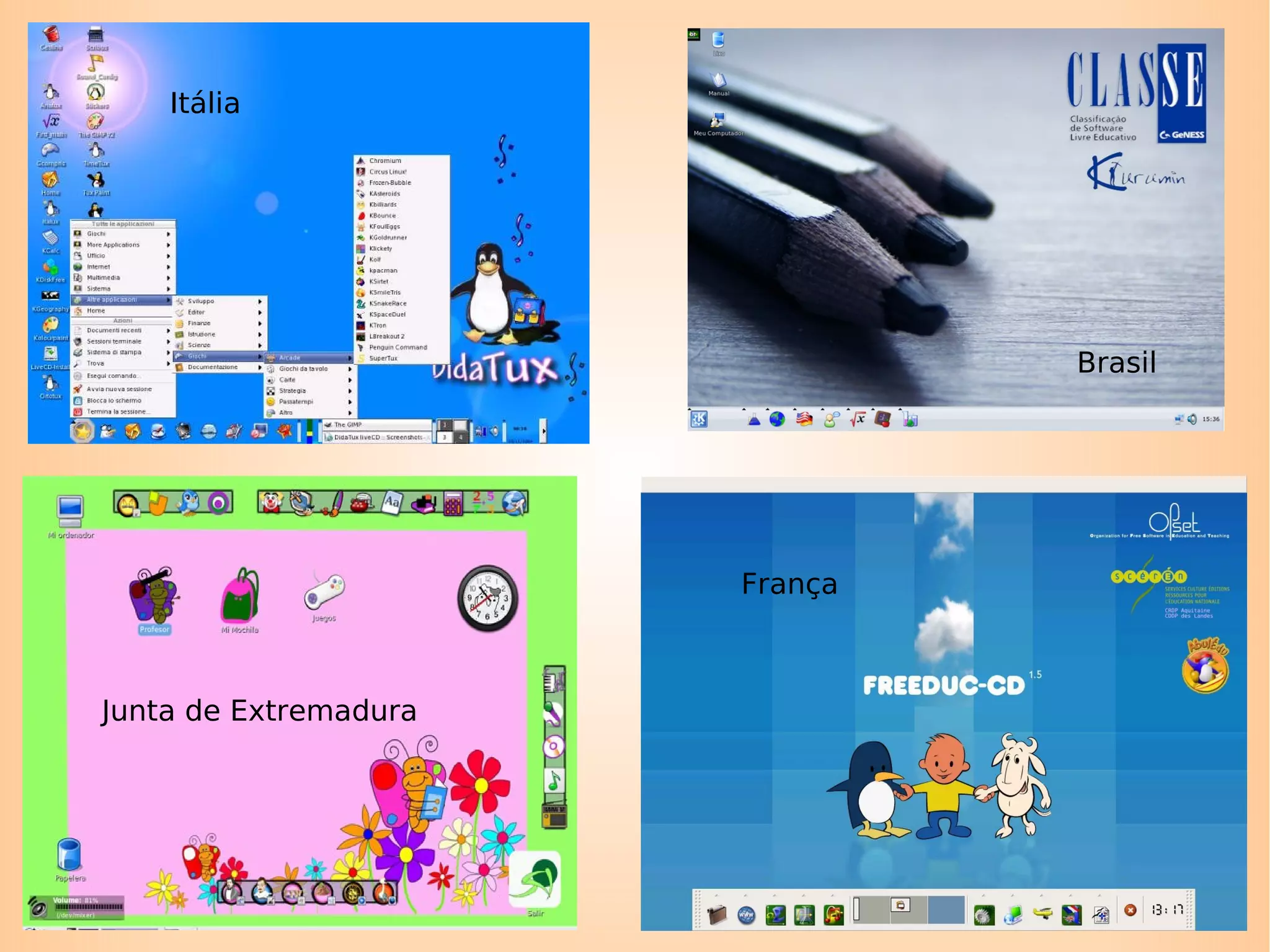 Uma distribuição educacional procura apresentar a professores e alunos um sistema operacional adaptado as necessidades de um laboratório de informática educativa.  