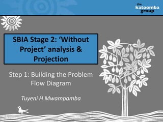 SBIA Stage 2: ‘Without Project’ analysis & Projection Step 1: Building the Problem Flow Diagram Tuyeni H Mwampamba 