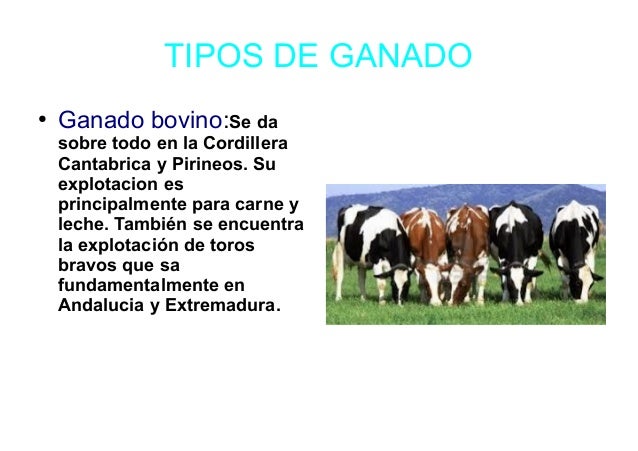 Ganaderia y Agricultura en España