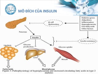 MÔ ĐÍCH CỦA INSULIN
 
