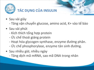 • Sau vài giây
- Tăng vận chuyển glucose, amino acid, K+ vào tế bào
• Sau vài phút
- Kích thích tổng hợp protein
- Ức chế thoái giáng protein
- Hoạt hóa glycogen synthase, enzyme đường phân.
- Ức chế phosphorylase, enzyme tân sinh đường.
• Sau nhiều giờ, nhiều ngày
- Tăng dịch mã mRNA, sao mã DNA trong nhân
TÁC DỤNG CỦA INSULIN
 