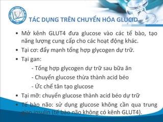 • Mở kênh GLUT4 đưa glucose vào các tế bào, tạo
năng lượng cung cấp cho các hoạt động khác.
• Tại cơ: đẩy mạnh tổng hợp glycogen dự trữ.
• Tại gan:
- Tổng hợp glycogen dự trữ sau bữa ăn
- Chuyển glucose thừa thành acid béo
- Ức chế tân tạo glucose
• Tại mỡ: chuyển glucose thành acid béo dự trữ
• Tế bào não: sử dụng glucose không cần qua trung
gian insulin (tế bào não không có kênh GLUT4).
TÁC DỤNG TRÊN CHUYỂN HÓA GLUCID
 