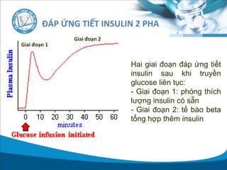 ĐÁP ỨNG TIẾT INSULIN 2 PHA
Hai giai đoạn đáp ứng tiết
insulin sau khi truyền
glucose liên tục:
- Giai đoạn 1: phóng thích
lượng insulin có sẵn
- Giai đoạn 2: tế bào beta
tổng hợp thêm insulin
Giai đoạn 1
Giai đoạn 2
 