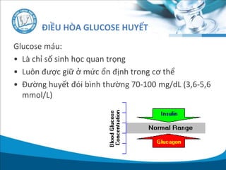 ĐIỀU HÒA GLUCOSE HUYẾT
Glucose máu:
• Là chỉ số sinh học quan trọng
• Luôn được giữ ở mức ổn định trong cơ thể
• Đường huyết đói bình thường 70-100 mg/dL (3,6-5,6
mmol/L)
 