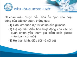 Glucose máu được điều hòa ổn định cho hoạt
động của các cơ quan, thông qua:
(1) Gan: cơ quan dự trữ chính của gluocse
(2) Hệ nội tiết: điều hòa hoạt động của các cơ
quan chính yếu tham gia kiểm soát glucse
máu (gan, cơ, mỡ).
(3) Hệ thần kinh: điều tiết hệ nội tiết
ĐIỀU HÒA GLUCOSE HUYẾT
 
