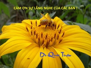 CẢM ƠN SỰ LẮNG NGHE CỦA CÁC BẠN !
 