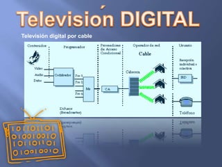 Televisión digital por cable
 
