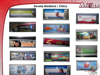 Dovela Mediana / Chica
 