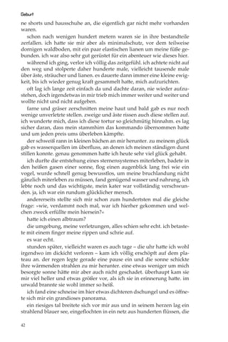 Geburt
ne shorts und hausschuhe an, die eigentlich gar nicht mehr vorhanden
waren.
   schon nach wenigen hundert metern waren sie in ihre bestandteile
zerfallen. ich hatte sie mir aber als minimalschutz, vor dem teilweise
dornigen waldboden, mit ein paar elastischen lianen um meine füße ge-
bunden. ich war also sehr gut gerüstet für ein abenteuer wie dieses hier.
   während ich ging, verlor ich völlig das zeitgefühl. ich achtete nicht auf
den weg und stolperte daher hunderte male, vielleicht tausende male
über äste, sträucher und lianen. es dauerte dann immer eine kleine ewig-
keit, bis ich wieder genug kraft gesammelt hatte, mich aufzurichten.
   oft lag ich lange zeit einfach da und dachte daran, nie wieder aufzu-
stehen, doch irgendetwas in mir trieb mich immer weiter und weiter und
wollte nicht und nicht aufgeben.
   farne und gräser zerschnitten meine haut und bald gab es nur noch
wenige unverletzte stellen. zweige und äste rissen auch diese stellen auf.
ich wunderte mich, dass ich diese tortur so gleichmütig hinnahm. es lag
sicher daran, dass mein stammhirn das kommando übernommen hatte
und um jeden preis ums überleben kämpfte.
   der schweiß rann in kleinen bächen an mir herunter. zu meinem glück
gab es wasserquellen im überﬂuss, an denen ich meinen ständigen durst
stillen konnte. genau genommen hatte ich heute sehr viel glück gehabt.
   ich durfte die entstehung eines sternensystemes miterleben, badete in
den heißen gasen einer sonne, ﬂog einen augenblick lang frei wie ein
vogel, wurde schnell genug bewusstlos, um meine bruchlandung nicht
gänzlich miterleben zu müssen, fand genügend wasser und nahrung, ich
lebte noch und das wichtigste, mein kater war vollständig verschwun-
den. ja, ich war ein rundum glücklicher mensch.
   andererseits stellte sich mir schon zum hundertsten mal die gleiche
frage: »wie, verdammt noch mal, war ich hierher gekommen und wel-
chen zweck erfüllte mein hiersein?«
   hatte ich einen albtraum?
   die umgebung, meine verletzungen, alles schien sehr echt. ich betaste-
te mit einem ﬁnger meine rippen und schrie auf.
   es war echt.
   stunden später, vielleicht waren es auch tage – die uhr hatte ich wohl
irgendwo im dickicht verloren – kam ich völlig erschöpft auf dem pla-
teau an. der regen legte gerade eine pause ein und die sonne schickte
ihre wärmenden strahlen zu mir herunter. eine etwas weniger um mich
besorgte sonne hätte mir aber auch nicht geschadet. überhaupt kam sie
mir viel heller und etwas größer vor, als ich sie in erinnerung hatte. im
urwald brannte sie wohl immer so heiß.
   ich fand eine schneise im hier etwas dichteren dschungel und es öﬀne-
te sich mir ein grandioses panorama.
   ein riesiges tal breitete sich vor mir aus und in seinem herzen lag ein
strahlend blauer see, eingeﬂochten in ein netz aus hunderten ﬂüssen, die

42
 