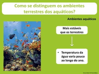 Mais estáveis
que os terrestres
Ambientes aquáticos
• Temperatura da
água varia pouco
ao longo do ano.
Como se distinguem os ambientes
terrestres dos aquáticos?
Ambientes aquáticos
Terra à Vista! 5 © Porto Editora
 