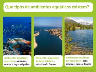 Ambientes aquáticos
marinhos – oceanos,
mares e lagos salgados
Ambientes aquáticos
de água salobra –
estuário do Douro
Ambientes aquáticos
de água doce – rios,
ribeiros, lagos e fontes
Que tipos de ambientes aquáticos existem?
Terra à Vista! 5 © Porto Editora
 