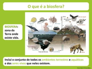 BIOSFERA:
zona da
Terra onde
existe vida.
Inclui o conjunto de todos os ambientes terrestres e aquáticos
e dos seres vivos que neles existem.
O que é a biosfera?
Terra à Vista! 5 © Porto Editora
 