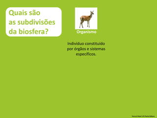 Quais são
as subdivisões
da biosfera? Organismo
Indivíduo constituído
por órgãos e sistemas
específicos.
Terra à Vista! 5 © Porto Editora
 