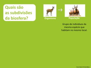 Organismo População
Grupo de indivíduos da
mesma espécie que
habitam no mesmo local.
Quais são
as subdivisões
da biosfera?
Terra à Vista! 5 © Porto Editora
 
