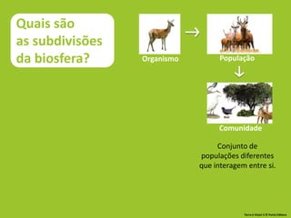 Organismo População
Comunidade
Conjunto de
populações diferentes
que interagem entre si.
Quais são
as subdivisões
da biosfera?
Terra à Vista! 5 © Porto Editora
 