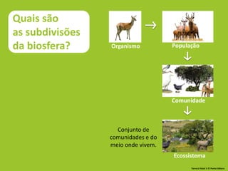 Organismo População
Ecossistema
Comunidade
Conjunto de
comunidades e do
meio onde vivem.
Quais são
as subdivisões
da biosfera?
Terra à Vista! 5 © Porto Editora
 