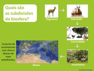 Bioma
Organismo População
Ecossistema
Comunidade
Conjunto de
ecossistemas
com clima e
fatores do
meio
semelhantes.
Quais são
as subdivisões
da biosfera?
Terra à Vista! 5 © Porto Editora
 