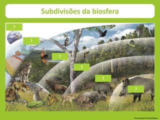 Subdivisões da biosfera
Terra à Vista! 5 © Porto Editora
?
?
?
?
?
?
 