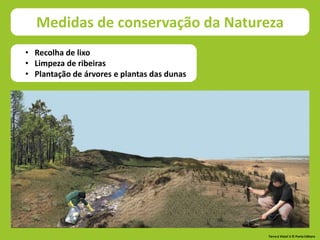Medidas de conservação da natureza
Medidas de conservação da Natureza
• Recolha de lixo
• Limpeza de ribeiras
• Plantação de árvores e plantas das dunas
Terra à Vista! 5 © Porto Editora
 