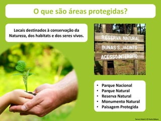 • Parque Nacional
• Parque Natural
• Reserva Natural
• Monumento Natural
• Paisagem Protegida
O que são áreas protegidas?
Locais destinados à conservação da
Natureza, dos habitats e dos seres vivos.
Terra à Vista! 5 © Porto Editora
 
