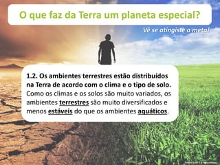 O que faz da Terra um planeta especial?
Vê se atingiste a meta!
1.2. Os ambientes terrestres estão distribuídos
na Terra de acordo com o clima e o tipo de solo.
Como os climas e os solos são muito variados, os
ambientes terrestres são muito diversificados e
menos estáveis do que os ambientes aquáticos.
Terra à Vista! 5 © Porto Editora
 