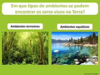 Ambientes aquáticos
Ambientes terrestres
Em que tipos de ambientes se podem
encontrar os seres vivos na Terra?
Terra à Vista! 5 © Porto Editora
 
